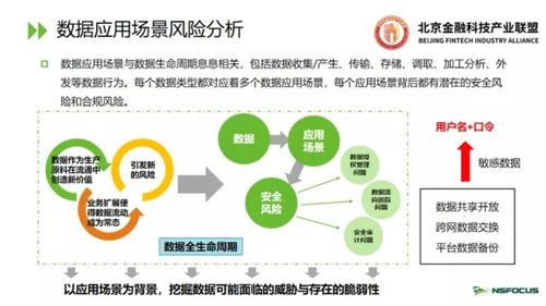 《數(shù)據(jù)安全法》框架下金融數(shù)據(jù)安全風(fēng)險(xiǎn)評估的技術(shù)研究與實(shí)踐路徑